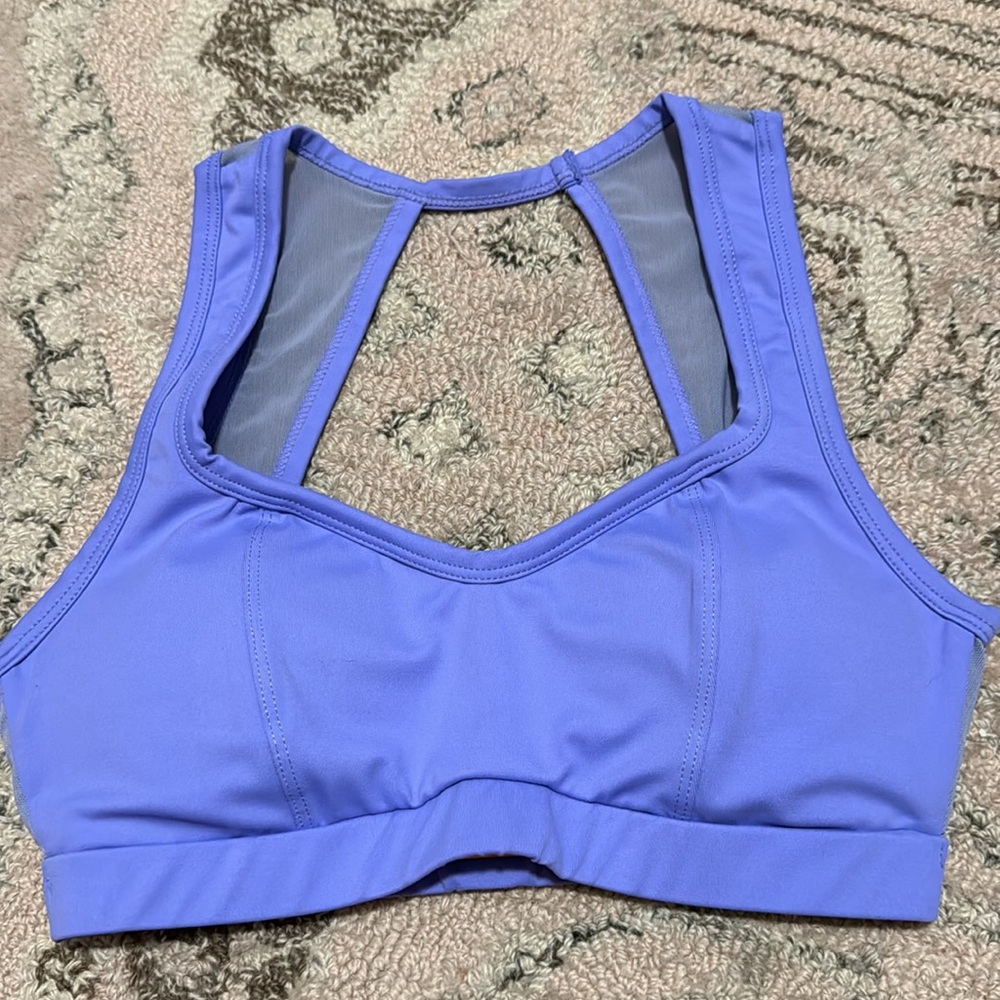Cleo Harper Purple Sports Bra